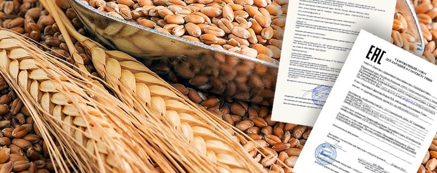 В Калининградской области Россельхознадзор прекратил действие 13-ти деклараций на зерно