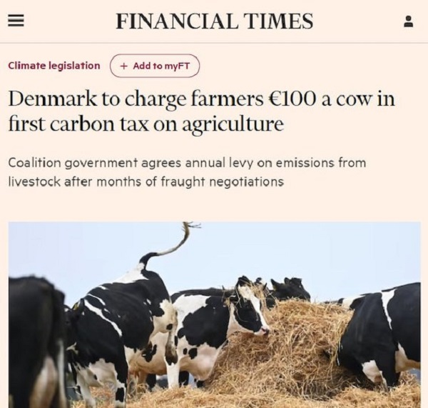 Financial Times: Дания первая в мире вводит налог на пукающих коров