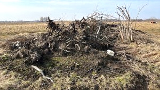 В муниципалитетах: в Гурьевском районе выявлено превышение содержания химических веществ 