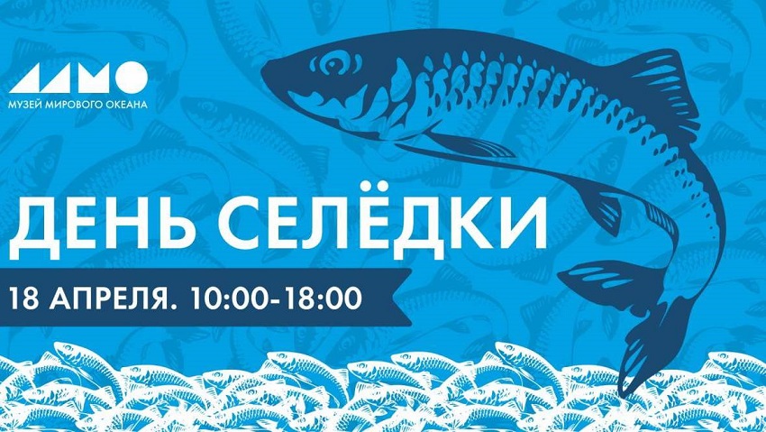 «День селёдки» в Музее Мирового океана – полная программа праздника