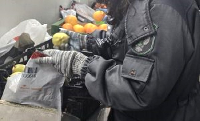 С миру по тонне – калининградцам сытая жизнь