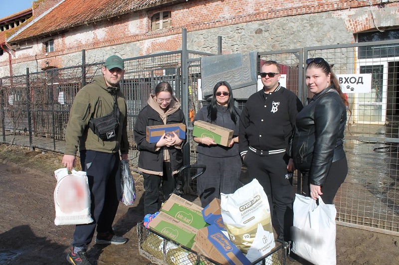 Калининградские судебные приставы помогли одиноким собакам