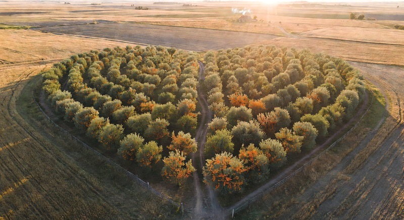 В муниципалитетах: новый сад к 80-летию региона