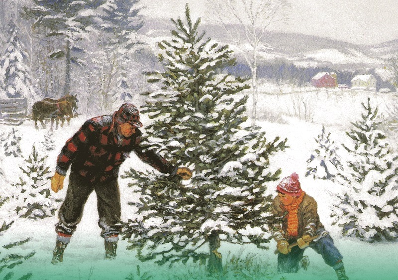 Почём нынче срубить ёлку в лесах Калининградской области