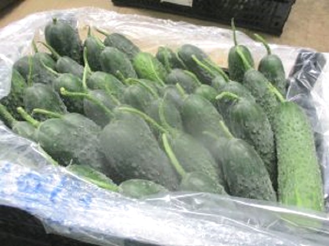 В Калининградскую область ввезено почти 25 тыс. тонн продукции из Белоруссии и Казахстана