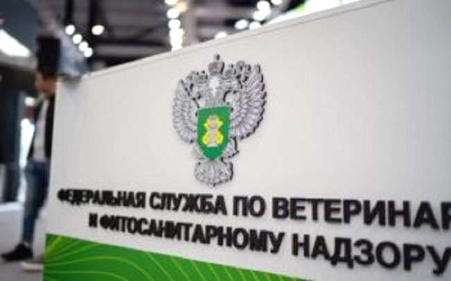У земель сельхозназначения в Калининградской области две беды – трипс и зарастание