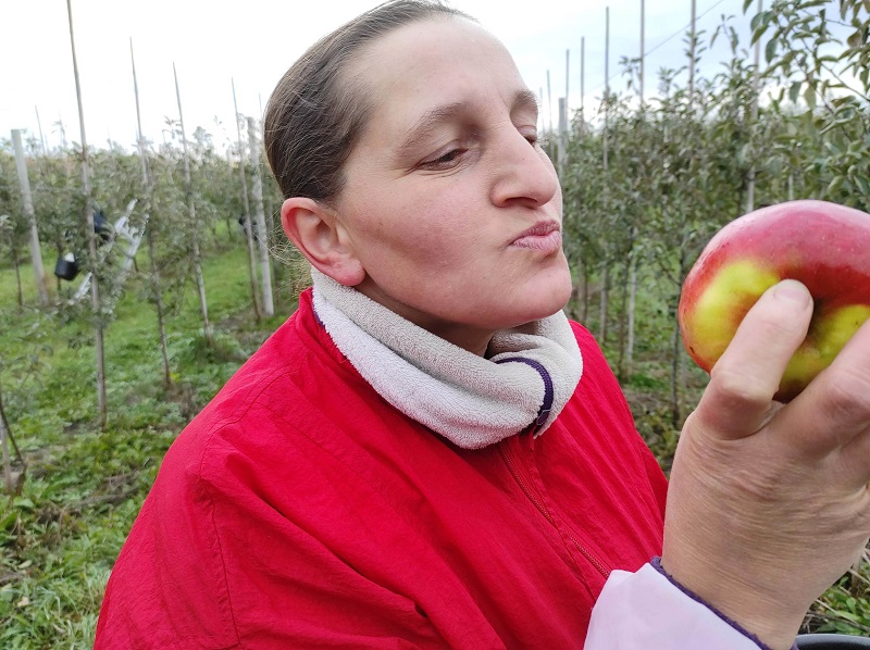 Яблоки с «Неманских садов» сладкие круглый год