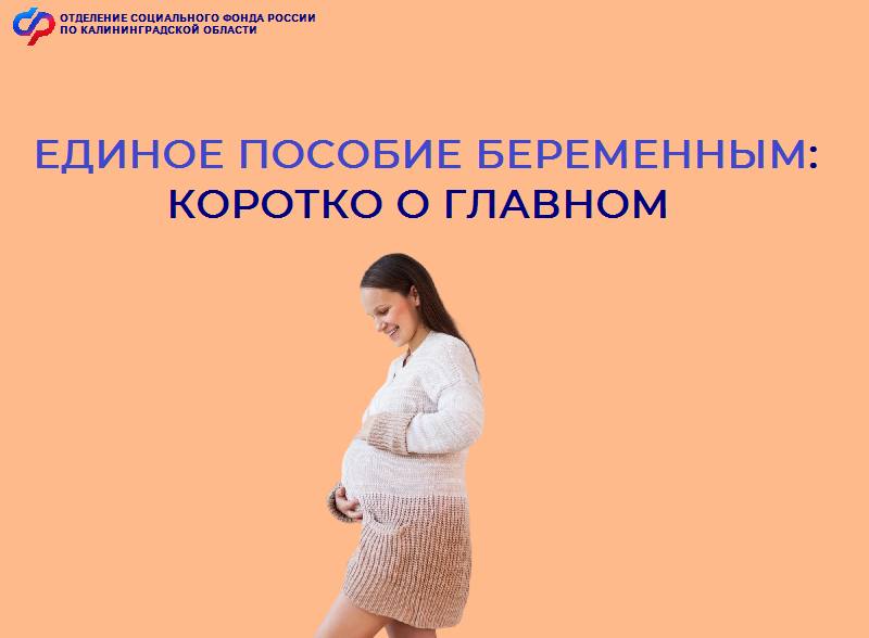 5231040390528890937