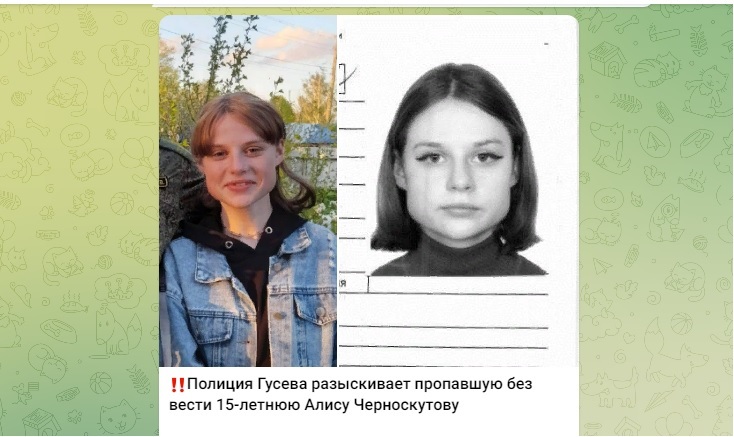 В Калининградской области вновь пропала девушка-подросток