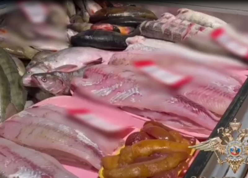 В Калининграде прошёл рейд по пресечению незаконной торговли морепродуктами