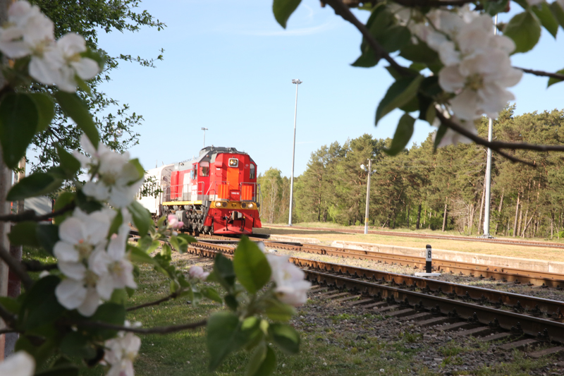 В Калининградской области поезд по касательной задел невнимательного пешехода