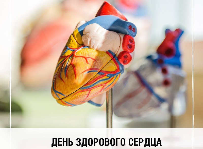 11 августа – международный день здорового сердца