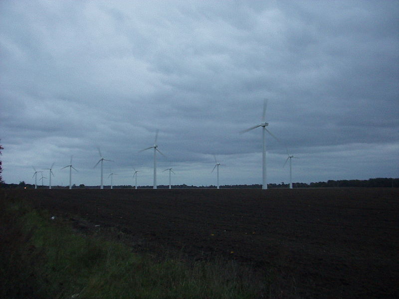 Zelenogradsk wind farm
