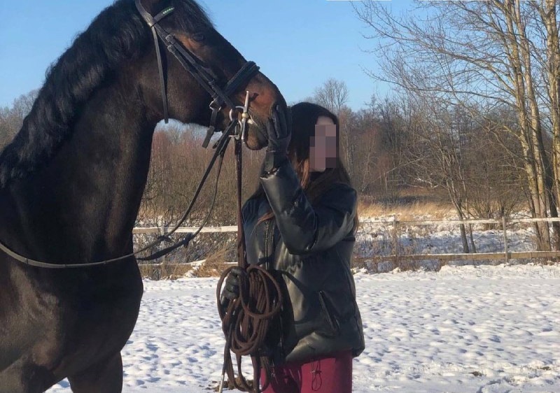 СМИ: в Калининграде конюх похитил девушку и пытался вывезти её в Узбекистан