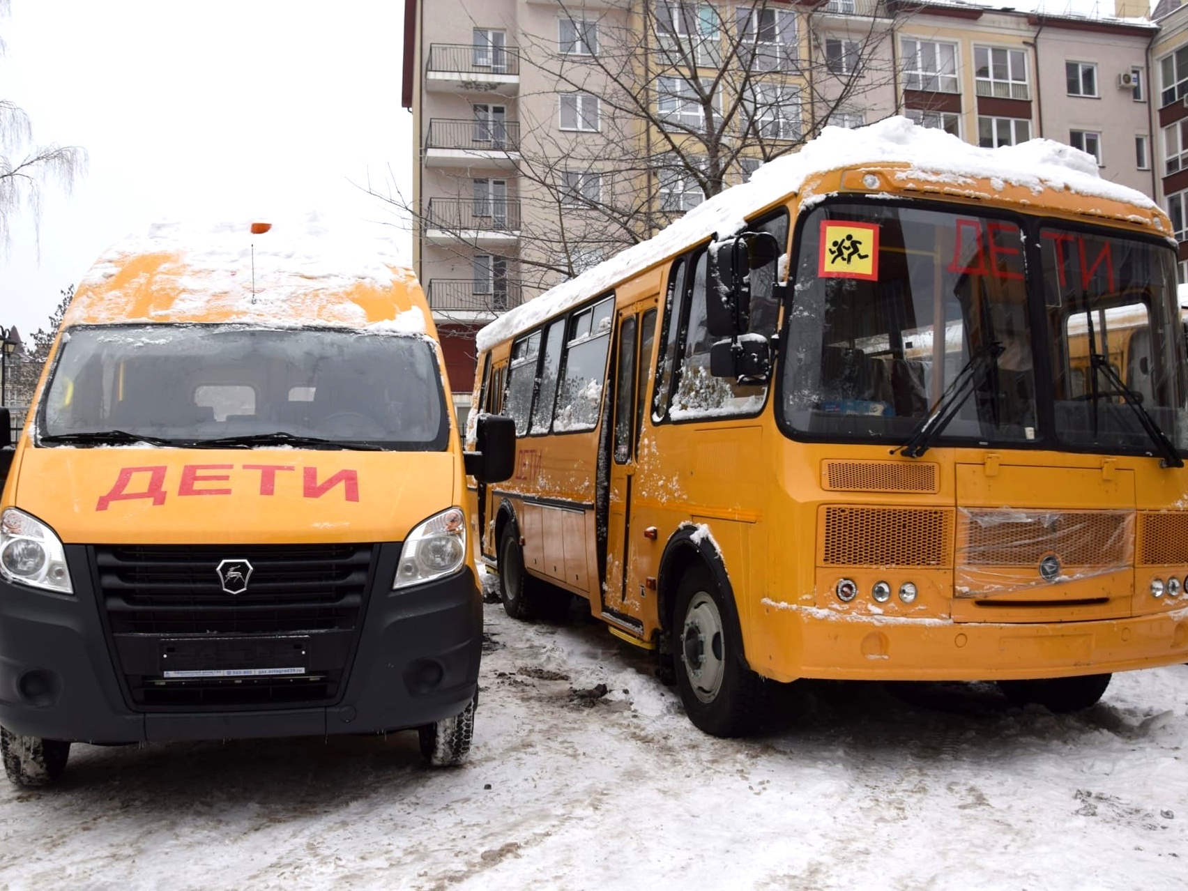 Школы под Калининградом получили новые автобусы