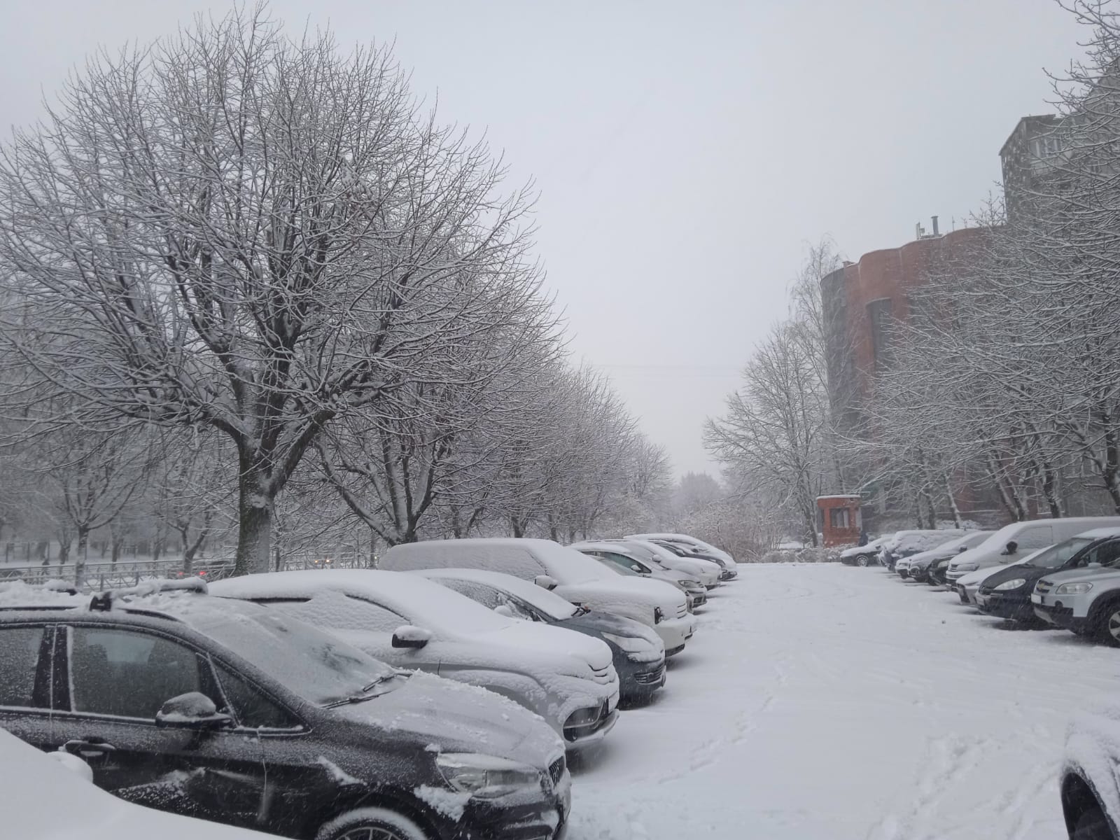 Непогода не перестаёт испытывать на прочность коммунальные службы Калининграда