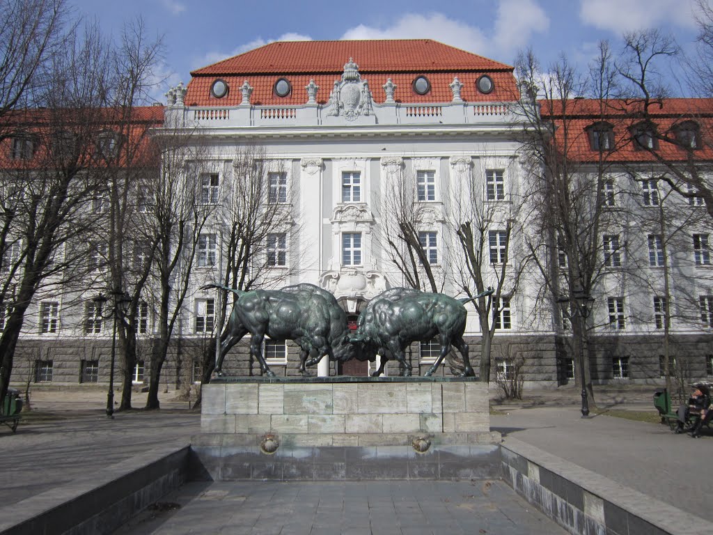 kaliningradskiy gosudarstvennyy tehnicheskiy universitet