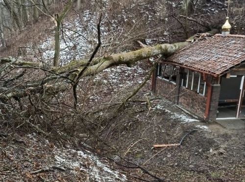 В Калининградской области дерево упало на крышу часовни