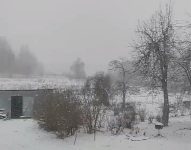 На востоке Калининградской области начался обильный снегопад