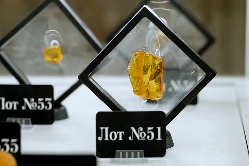 На аукционе AmberForum 2024 инклюз с фрагментом листочка подорожал в 20 раз