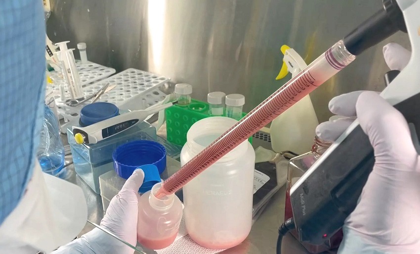 Учёные БФУ им. И. Канта получили патент и зарегистрировали ноу-хау — ростовую добавку 