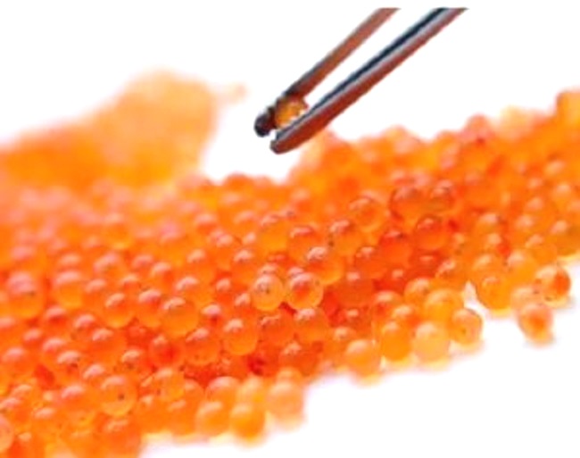 Пересчитали поштучно: в регион завезли более 3,2 млн штук импортной икры форели