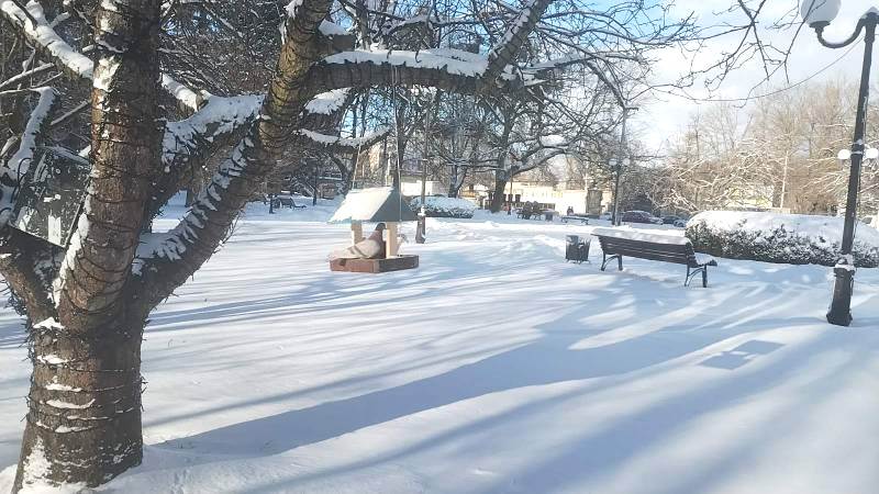 Калининградская область забралась на гребень антициклона, и спускаться с него не торопится 