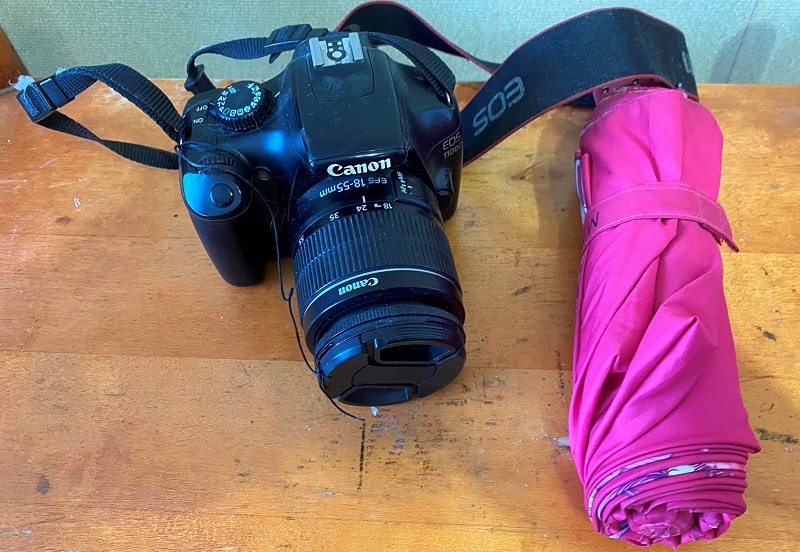 В калининградских поездах в новогодние праздники пассажиры оставили 125 личных вещей